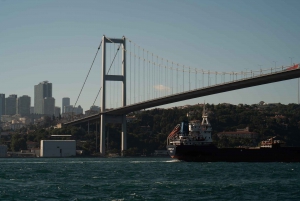 Istanbul: Sunset or Day Small-Group Yacht Cruise with Snacks