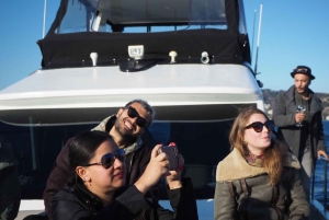 Istanbul: Small Group Yacht Tour with Unlimited Wine