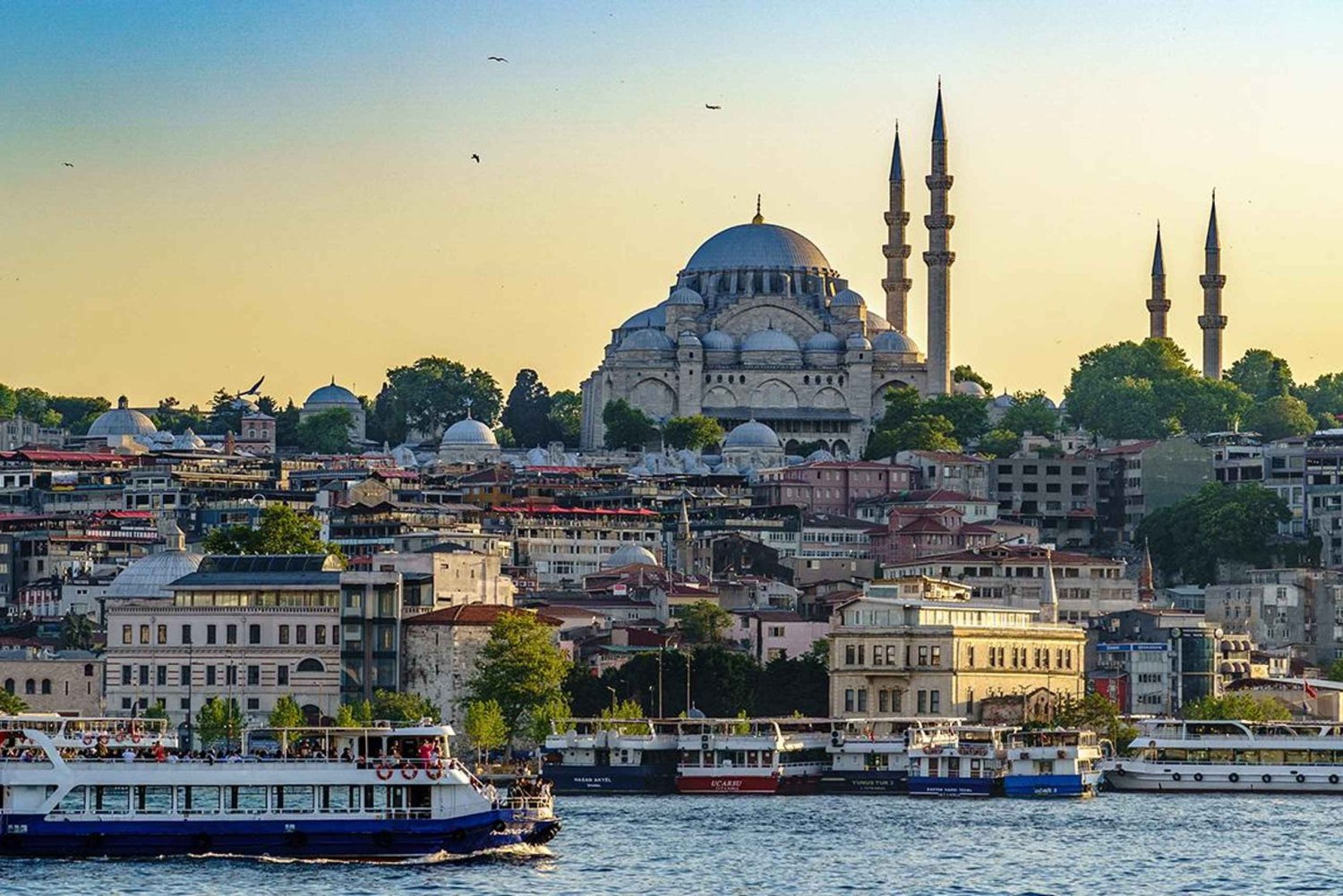 Istanbul: Blue Mosque Guided Tour & Süleymaniye Audio Guide