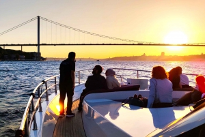 Istanbul: Bosphorus Sunset Yacht Cruise with Live Guide