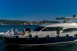 Istanbul: Bosphorus Sunset Yacht Cruise with Live Guide