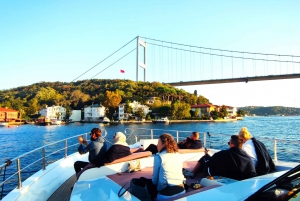 Istanbul: Bosphorus Sunset Yacht Cruise with Live Guide