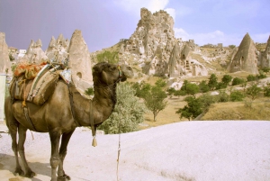 Istanbul to Cappadocia All Inclusive Private Day Tour