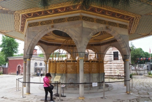 Istanbul: Full Day Private Guided Tour for Iconic Landmarks