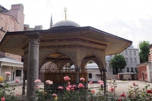 Istanbul: Full Day Private Guided Tour for Iconic Landmarks