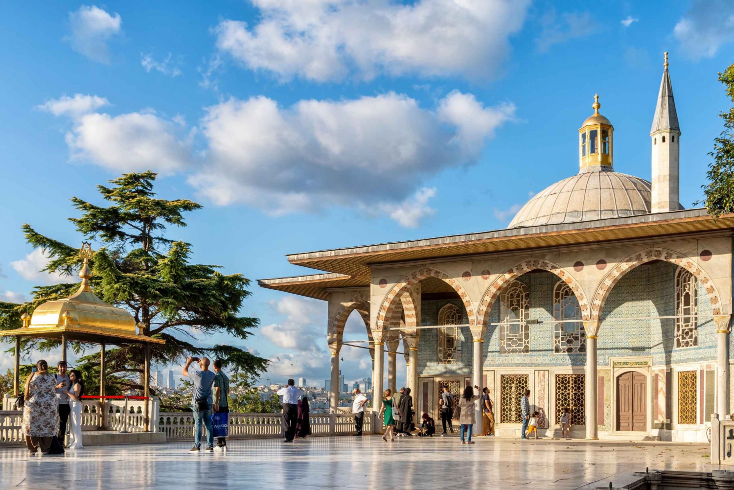 Istanbul: Topkapi Palace and Harem Museum Tour with Ticket