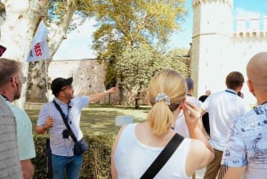 Istanbul: Topkapi Palace & Harem Express Highlight Tour