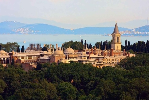 Istanbul: Topkapi Palace & Harem Express Highlight Tour
