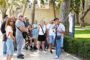 Istanbul: Topkapi Palace & Harem Express Highlight Tour