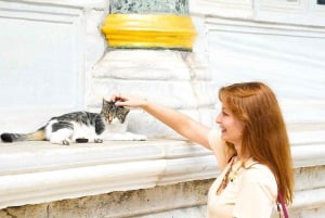 Istanbul: Topkapi Palace & Harem Express Highlight Tour