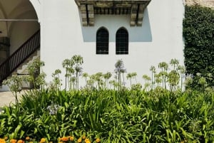 Istanbul: Topkapi Palace & Harem Skip-the-Line Tour Guide