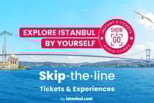 Istanbul: TouristPass Skip-the-Line Entry to 100+Attractions