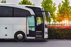 Istanbul TRANSPORTATION PASS: between Airport, City &Islands