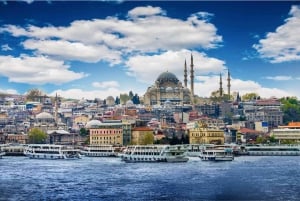 Istanbul: True Discovery Full-Day Tour and Cruise