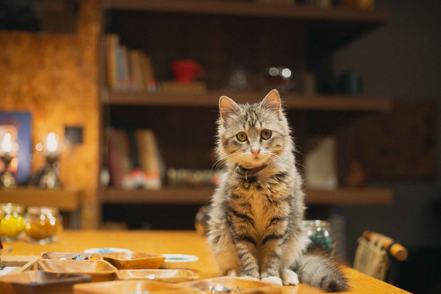 Istanbul: Turkish Mosaic Lamp Workshop with Drinks & Snacks