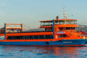 Istanbul: Turkish Night Bosphorus Cruise with Private Table