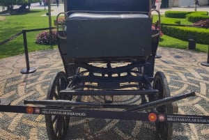 Istanbul: Yildiz Palace & Museum Skip the Ticket Line Entry