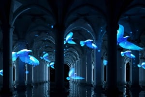 Istanbul: Basilica Cistern Skip-the-Ticket-Line Guided Tour