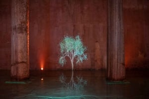 Istanbul: Basilica Cistern Skip-the-Ticket-Line Guided Tour