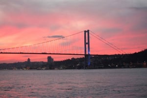 From Istanbul Airport: Layover City Tour with Options