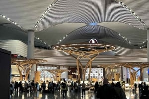 Layover Private Guided Istanbul City Tour with Transfers