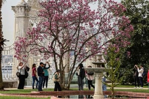 Istanbul MegaPass: Skip-the-Line Tickets for Top Attractions