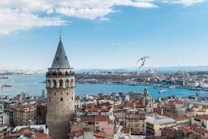 Premium Line : Private Istanbul Tour : All Inclusive Package