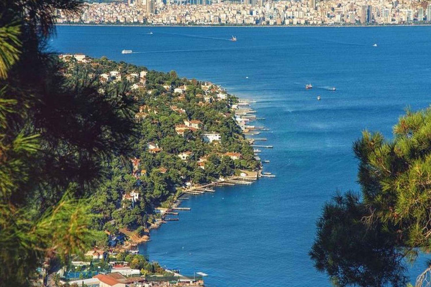 Princes Island Full Day Tour - Heybeli or Kınalı & Büyükada