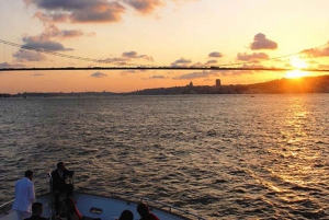 Private Bosphorus Sightseeing Cruise By Luxury Yacht