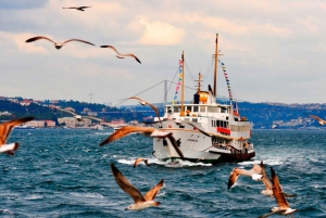 Private Bosphorus Sightseeing Cruise By Luxury Yacht