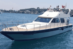 Private Bosphorus Sightseeing Cruise By Luxury Yacht