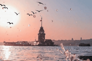 Private Bosphorus Sightseeing Cruise By Luxury Yacht