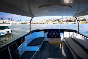 Private Bosphorus Sightseeing Cruise By Luxury Yacht