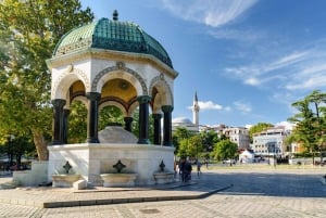 Private Car Tour of Istanbul Old City and Top 7 Attractions