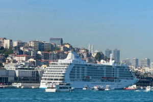 Private; Istanbul Cruise Port Transfer (Galataport)