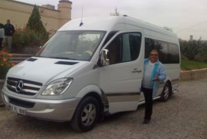 Private Istanbul Tour with Car and Guide