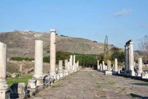 Private Pergamon Day Tour from Istanbul by Plane