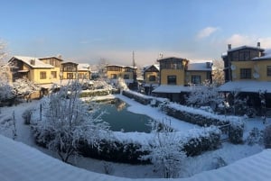 Sapanca Lake and Masukiye Full-Day Tour from Istanbul