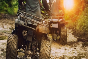 From Istanbul: Sapanca Lake & Masukiye Tour with Lunch