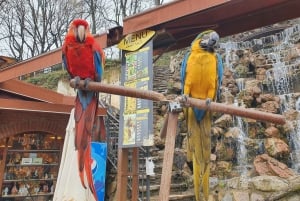 Sapanca Maşukiye tour from Istanbul