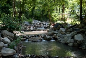 Sapanca Maşukiye tour from Istanbul