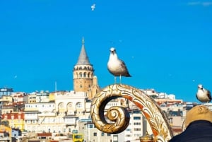 Sights and Bites in Two Continents