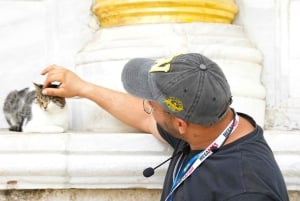 Topkapi Palace & Hagia Sophia Tickets + Audio Guide