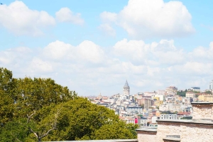 Topkapi Palace, Harem, & Hagia Irene Entry Ticket and Audio