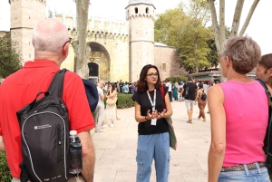 Istanbul: Topkapi Palace and Harem Museum Tour with Ticket