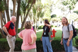 Istanbul: Topkapi Palace and Harem Museum Tour with Ticket