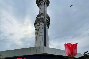 Tour to Camlica Hill, Camlica Mosque & Camlica Tower