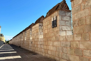 Walls of Contantinople and Byzantine Palace Tour