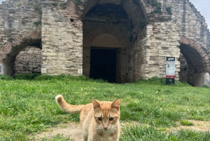 Walls of Contantinople and Byzantine Palace Tour