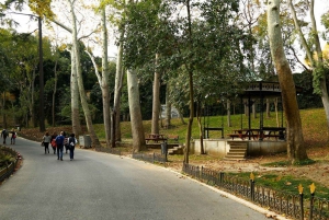 Yildiz Palace & Park: Skip-the-Line Entry with Audio Guide